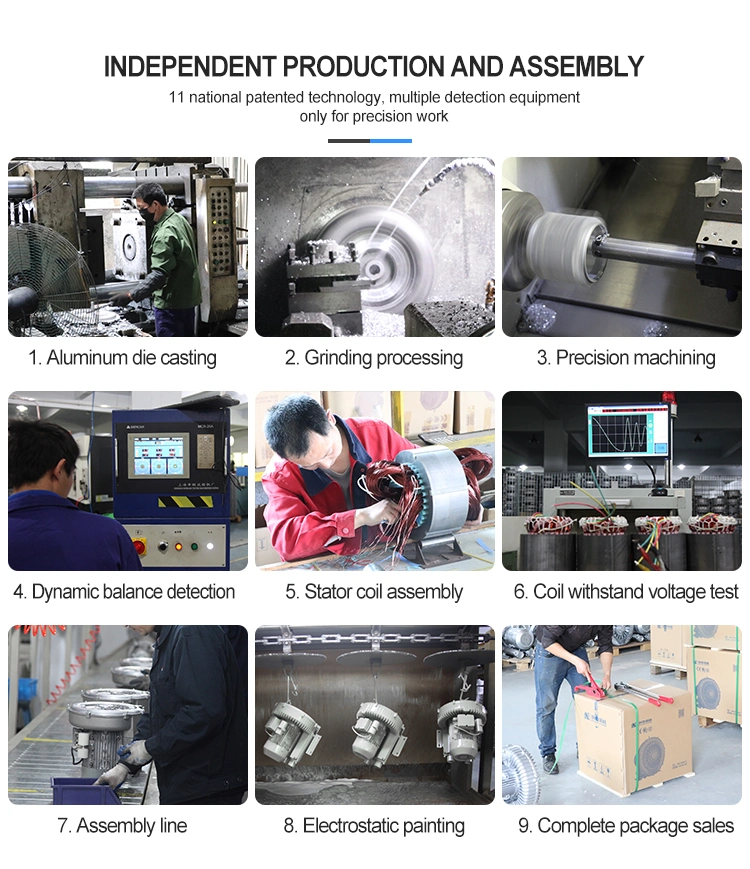 Environmental Engineering Electric Industrial Side Channel Air Blower